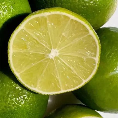 Shampoing cheveux normaux à gras Family fresh délice 750ml Byphasse